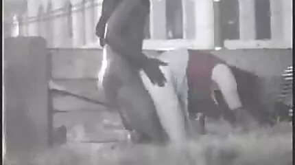 काला आदमी सक्रिय रूप से एक चुंबन के साथ गोरा बेकार हिंदी सेक्सी हिंदी मूवी है ।