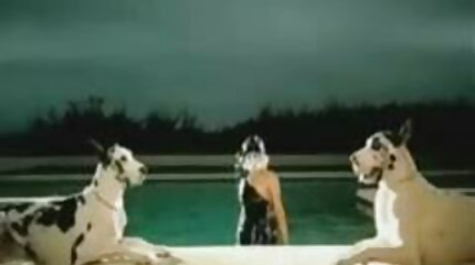 अश्लील वीडियो